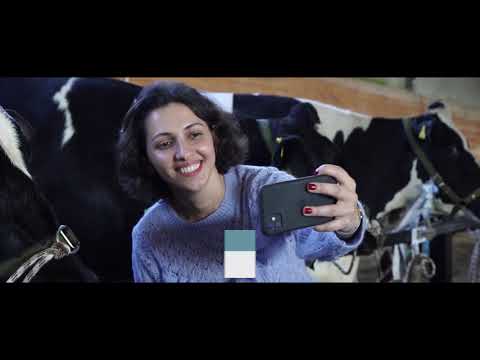 მესაქონლეობის ექსპო | Cattle Expo 2019 Georgia Tbilisi